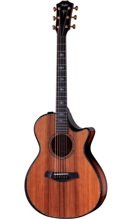 Full shot of Taylor Builders Edition 912ce Sinker Redwood Honduran Rosewood w/case