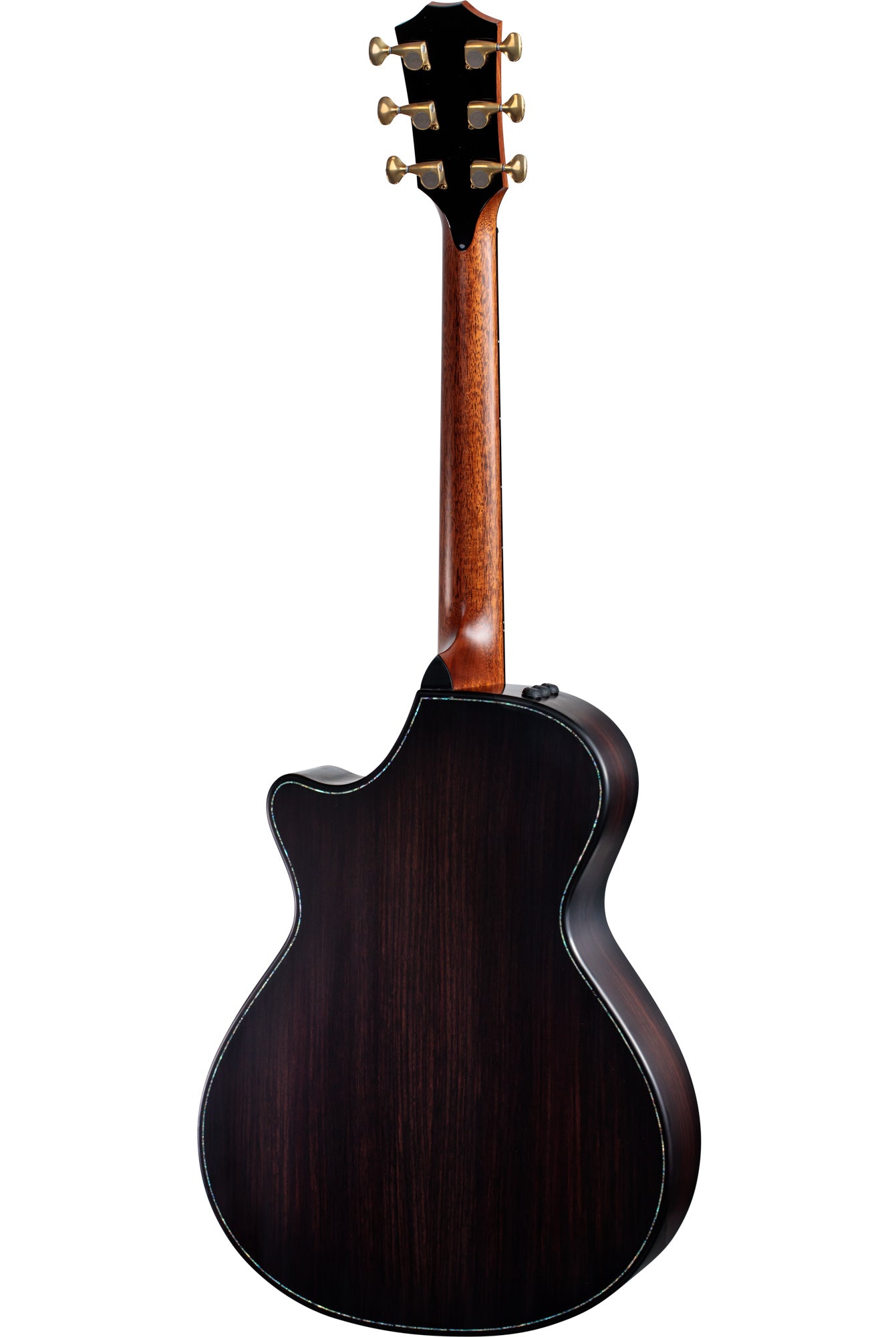 Full back view of Taylor Builder's Edition 912ce WHB V-Class Bracing Wild Honey Burst w/case