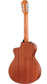 Back of Taylor 112ce-N.