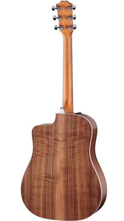 Back of Taylor 210ce.