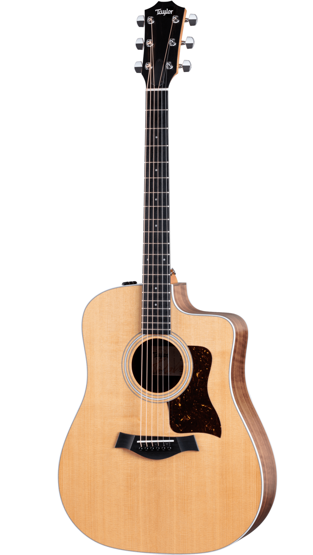 Full frontal of Taylor 210ce.