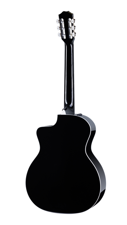 Back of Taylor 214ce-N BLK DLX Special Edition Black.