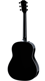 Back of Taylor 217e-BLK Plus.