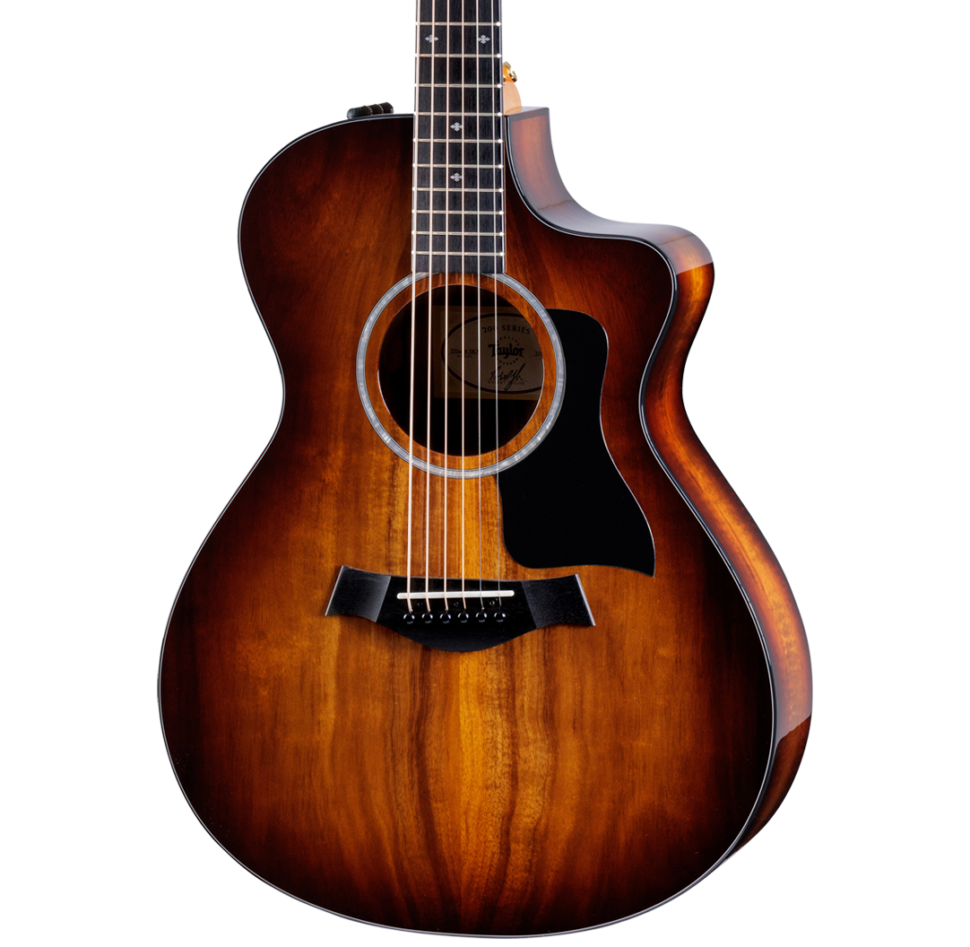 Front of Taylor 222ce-K DLX.