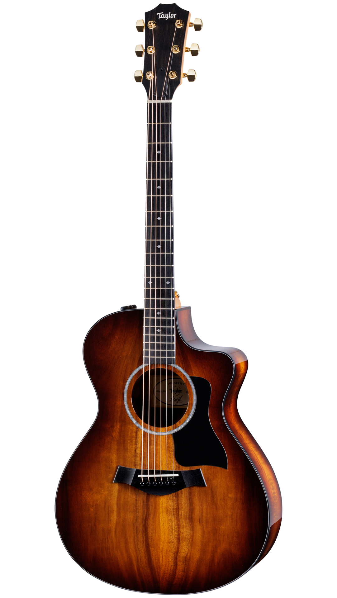 Full frontal of Taylor 222ce-K DLX.