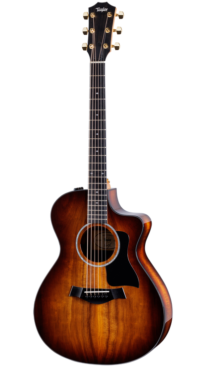 Full frontal of Taylor 222ce-K DLX.