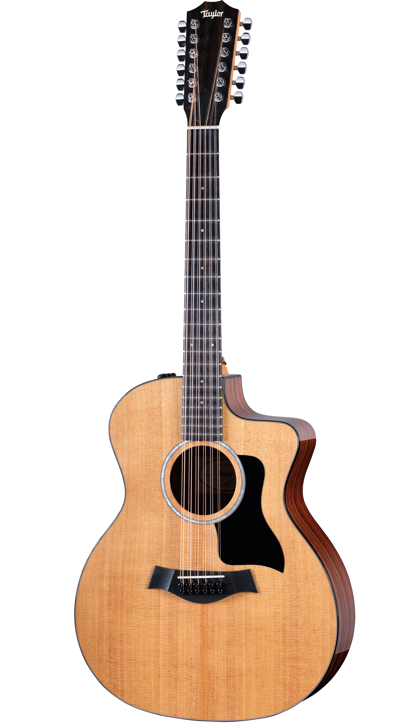 Full frontal of Taylor 254ce Plus.