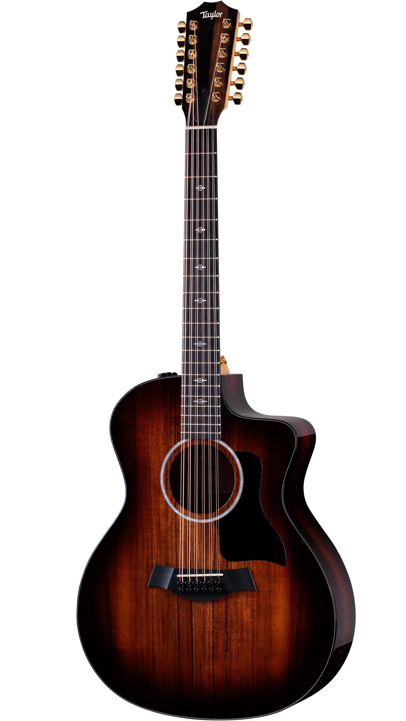 Full frontal of Taylor 264ce-K DLX.