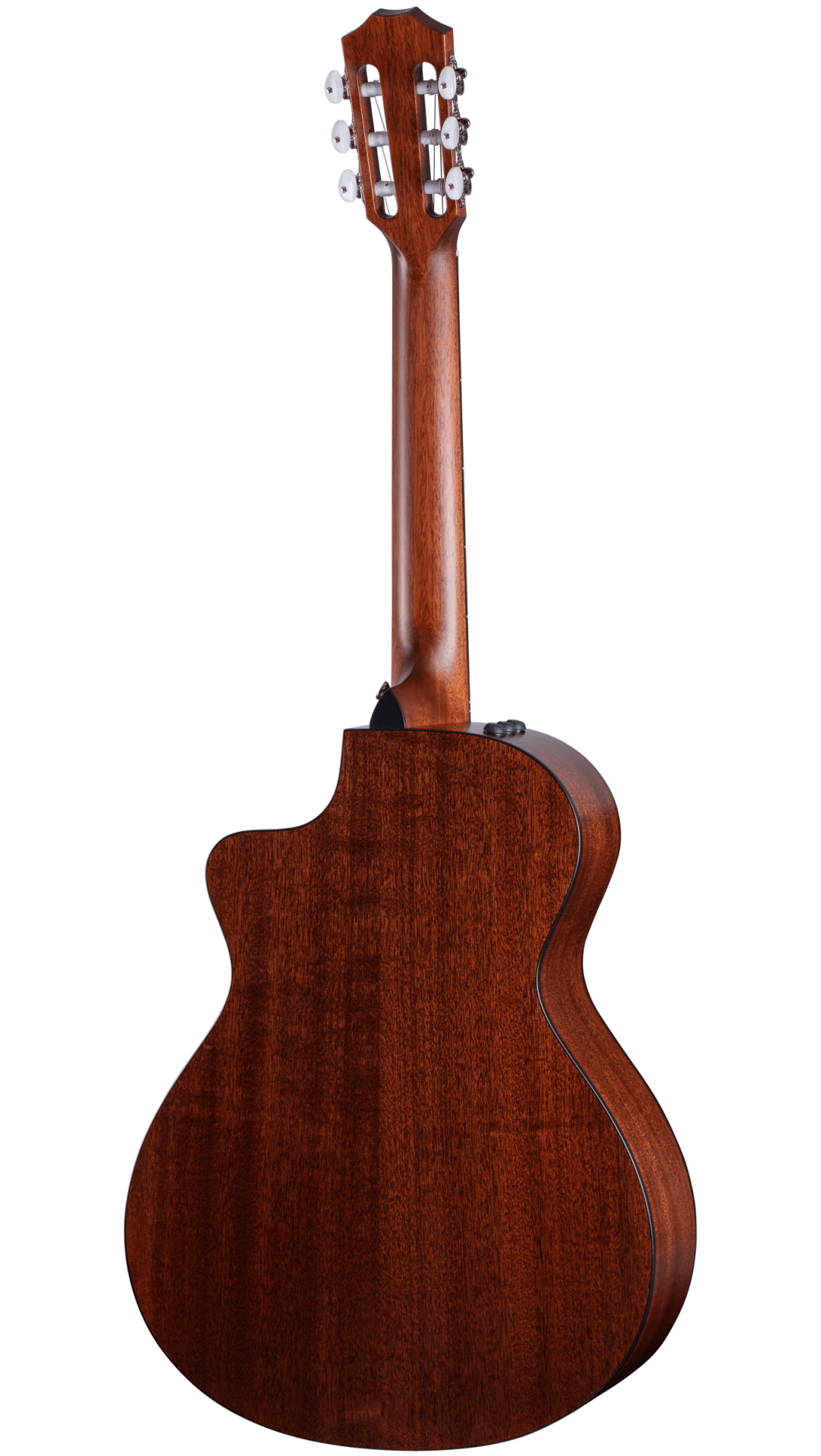 Back of Taylor 312ce-N.