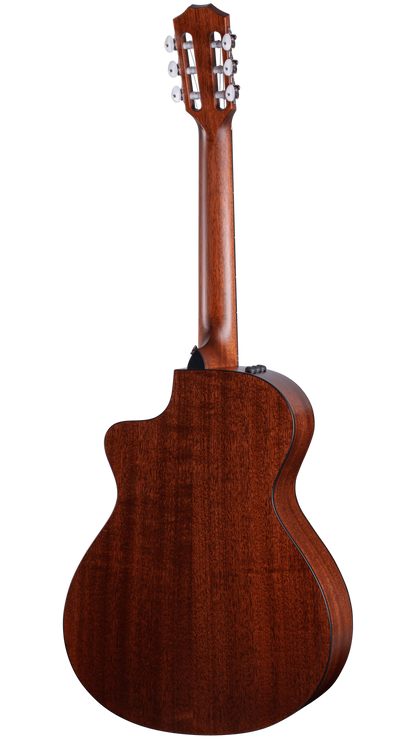 Back of Taylor 312ce-N.