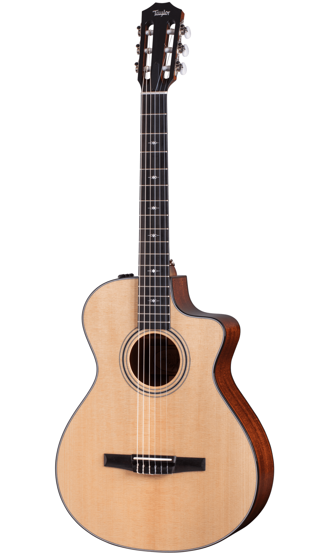 Full frontal of Taylor 312ce-N.