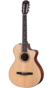 Full frontal of Taylor 312ce-N.