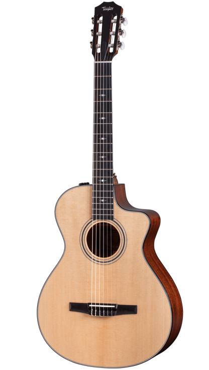Full frontal of Taylor 312ce-N.