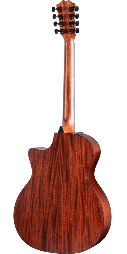 Back of Taylor 324ce Baritone 8 String Limited.