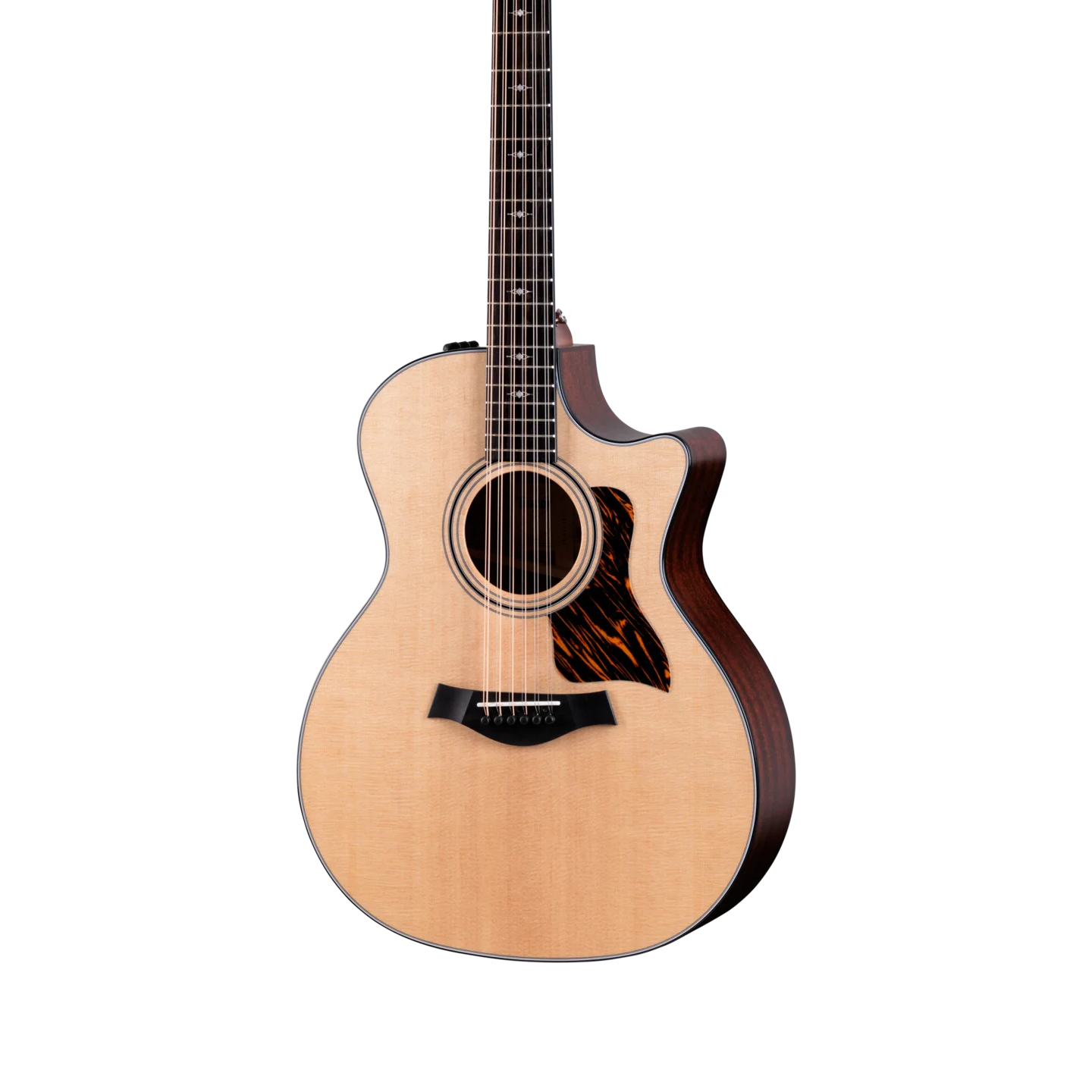 Front of Taylor 354ce 12-String.