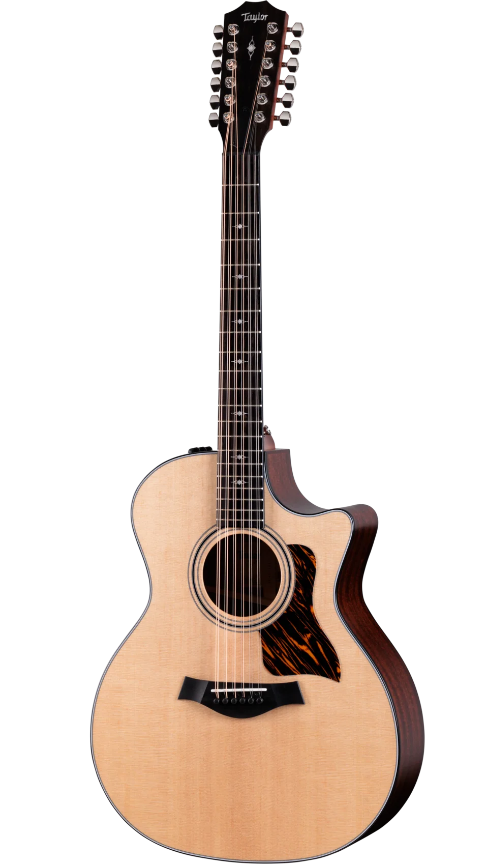 Full frontal of Taylor 354ce 12-String.