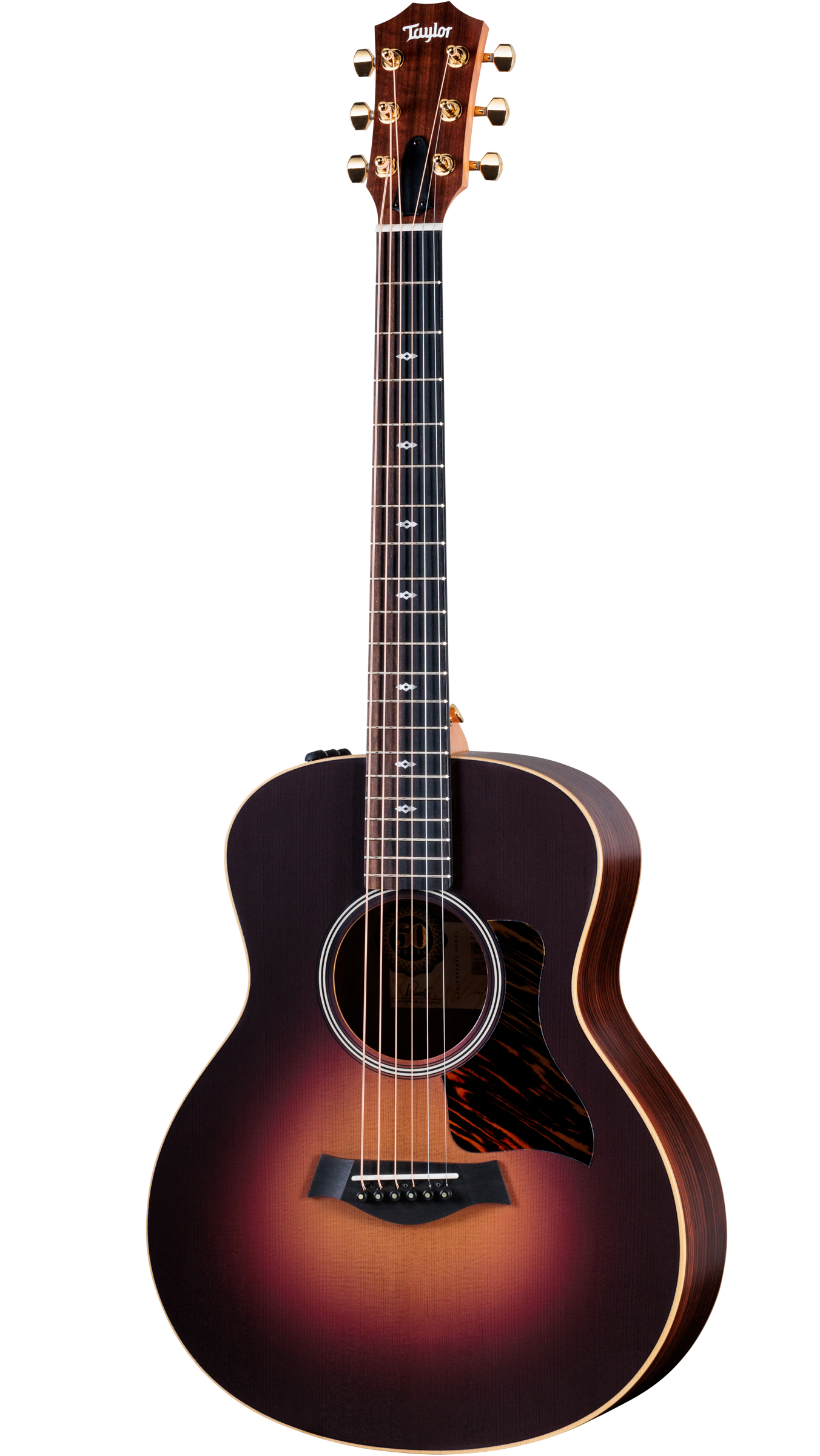 Full frontal of Taylor 50th Anniversary GS Mini-e Rosewood.