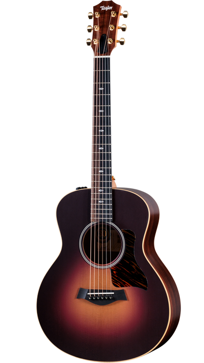 Full frontal of Taylor 50th Anniversary GS Mini-e Rosewood.