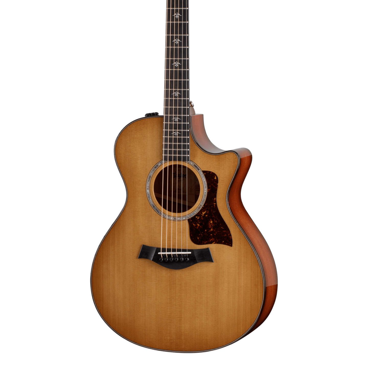 Front of Taylor 512ce.