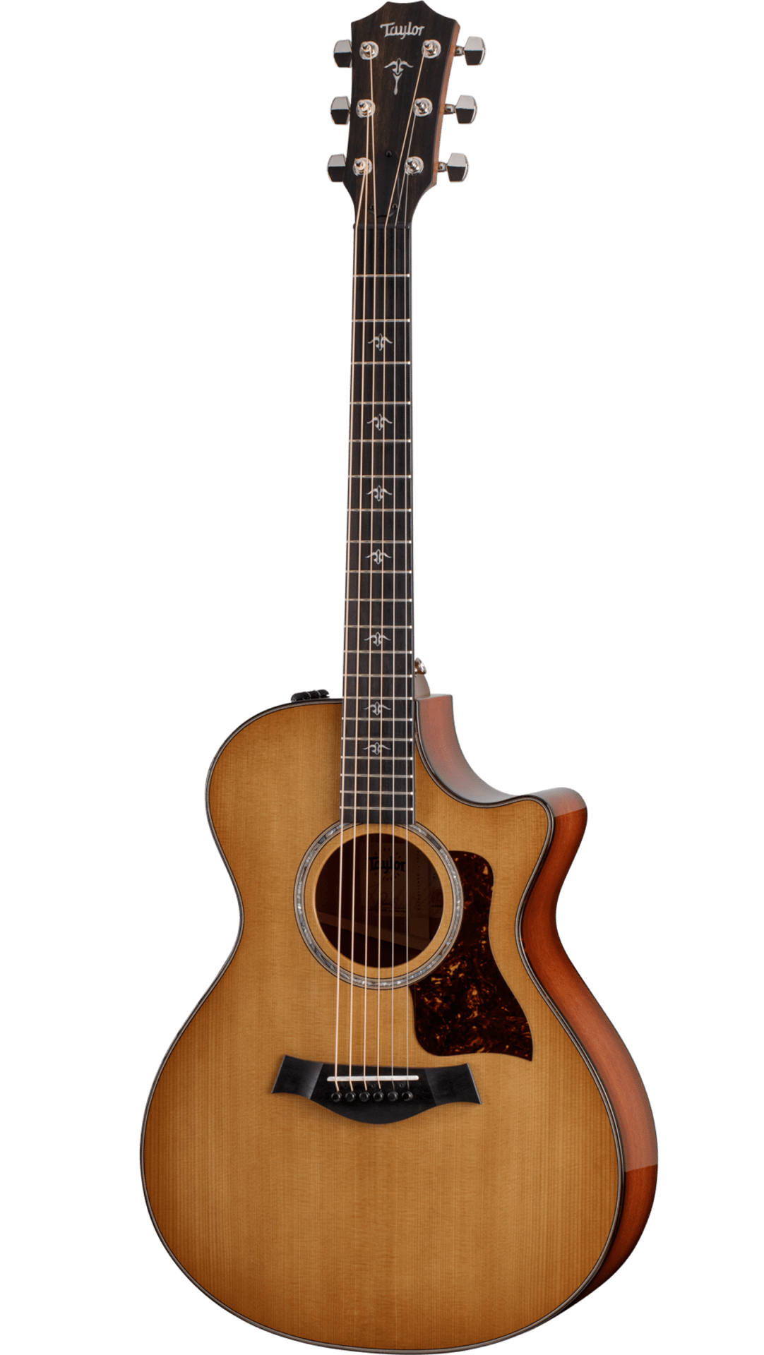 Full frontal of Taylor 512ce.