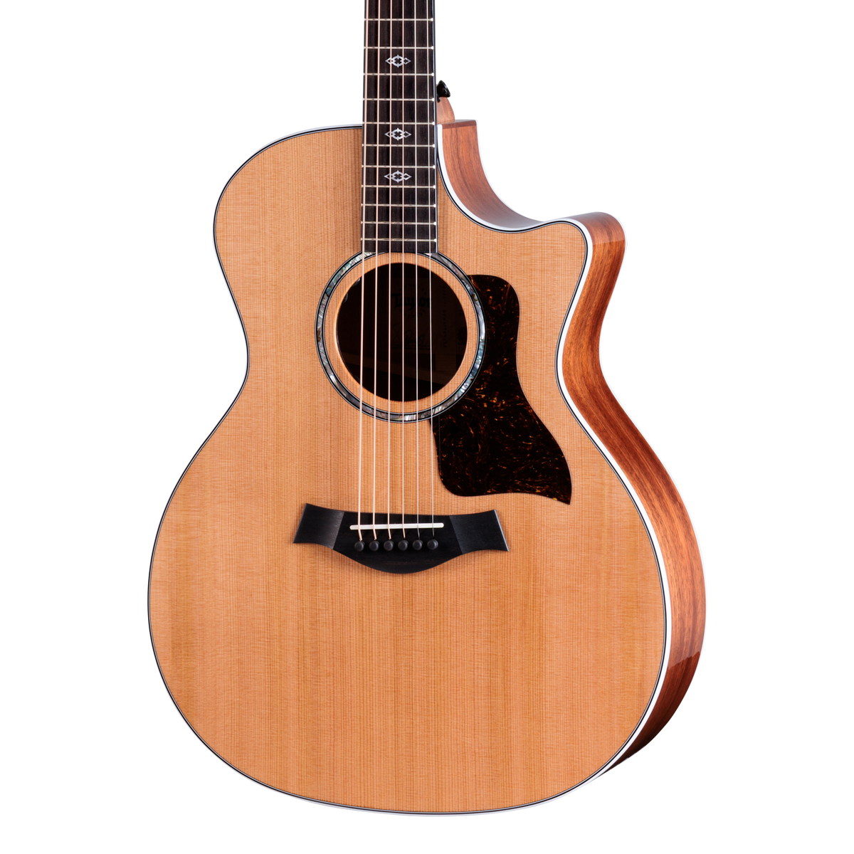 Front of Taylor 514ce Next Generation Mahogany Cedar.
