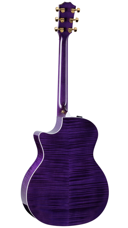 Back of Taylor 614ce Special Edition Trans Purple.