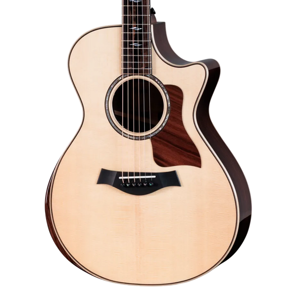 Front of Taylor 812ce Next Generation Indian Rosewood.