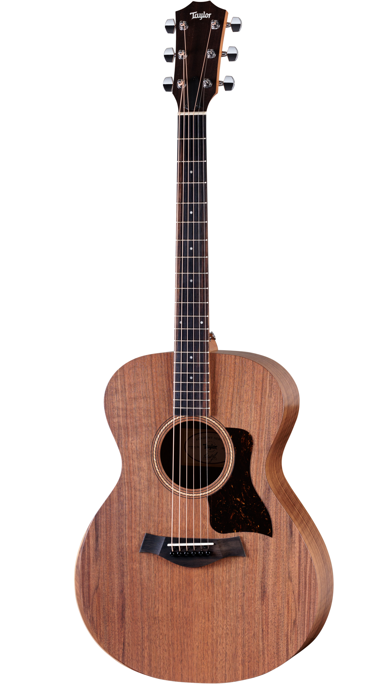 Full frontal of Taylor Academy 22e.