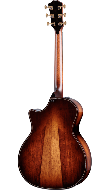 Back of Taylor Builder's Edition 914ce Honduran.