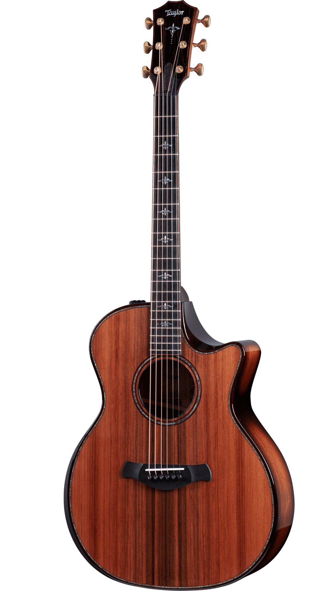 Full frontal of Taylor Builder's Edition 914ce Honduran.