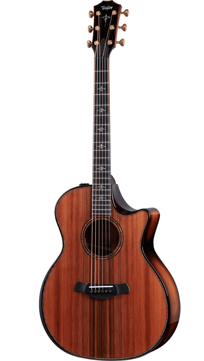 Full frontal of Taylor Builder's Edition 914ce Honduran.