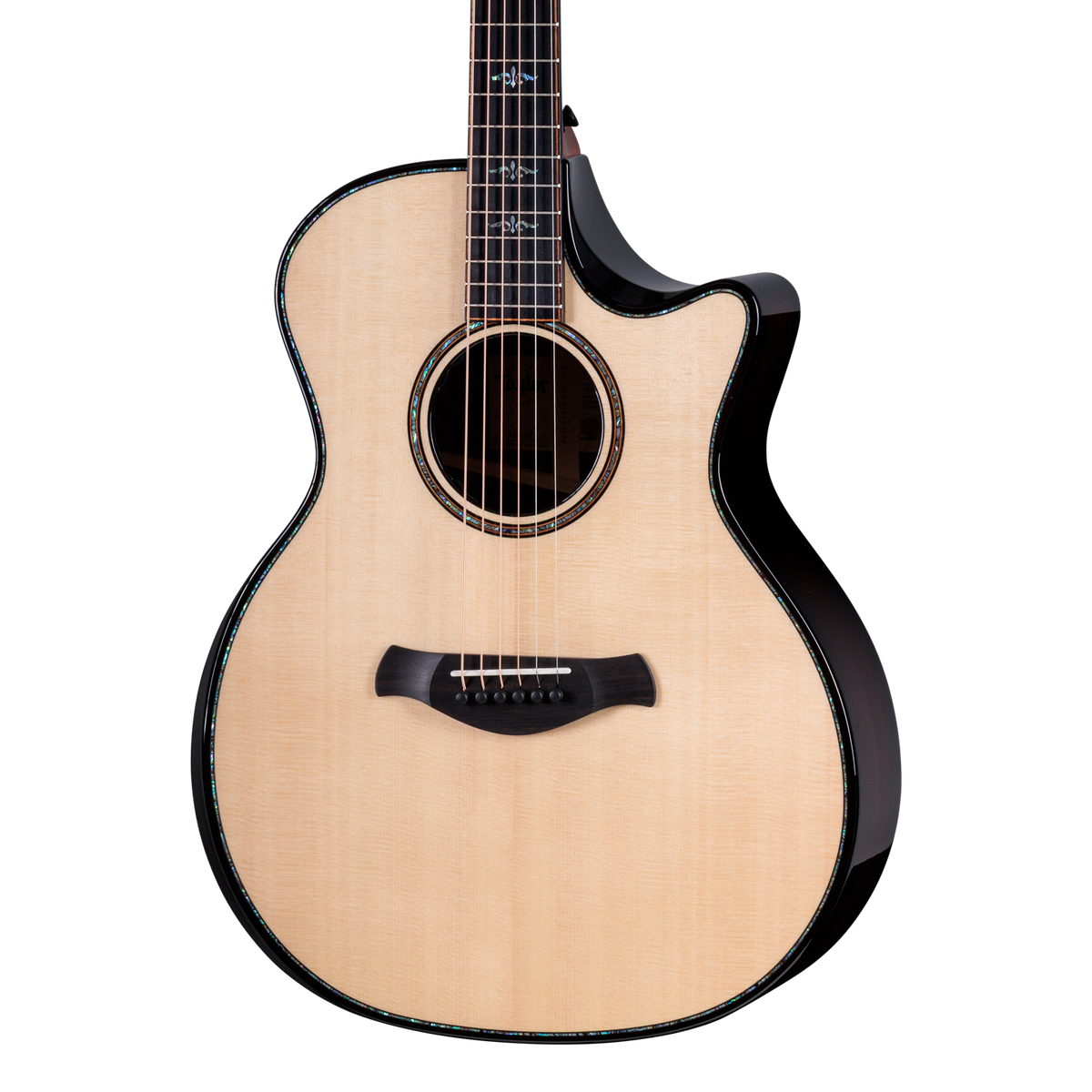 Front of Taylor Builder's Edition 914ce Next Generation.