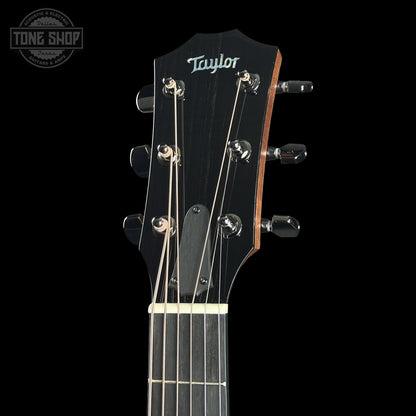 Headstock of Taylor Custom TSG Anniversary Dread Adirondack / Indian Rosewood 1207185001.