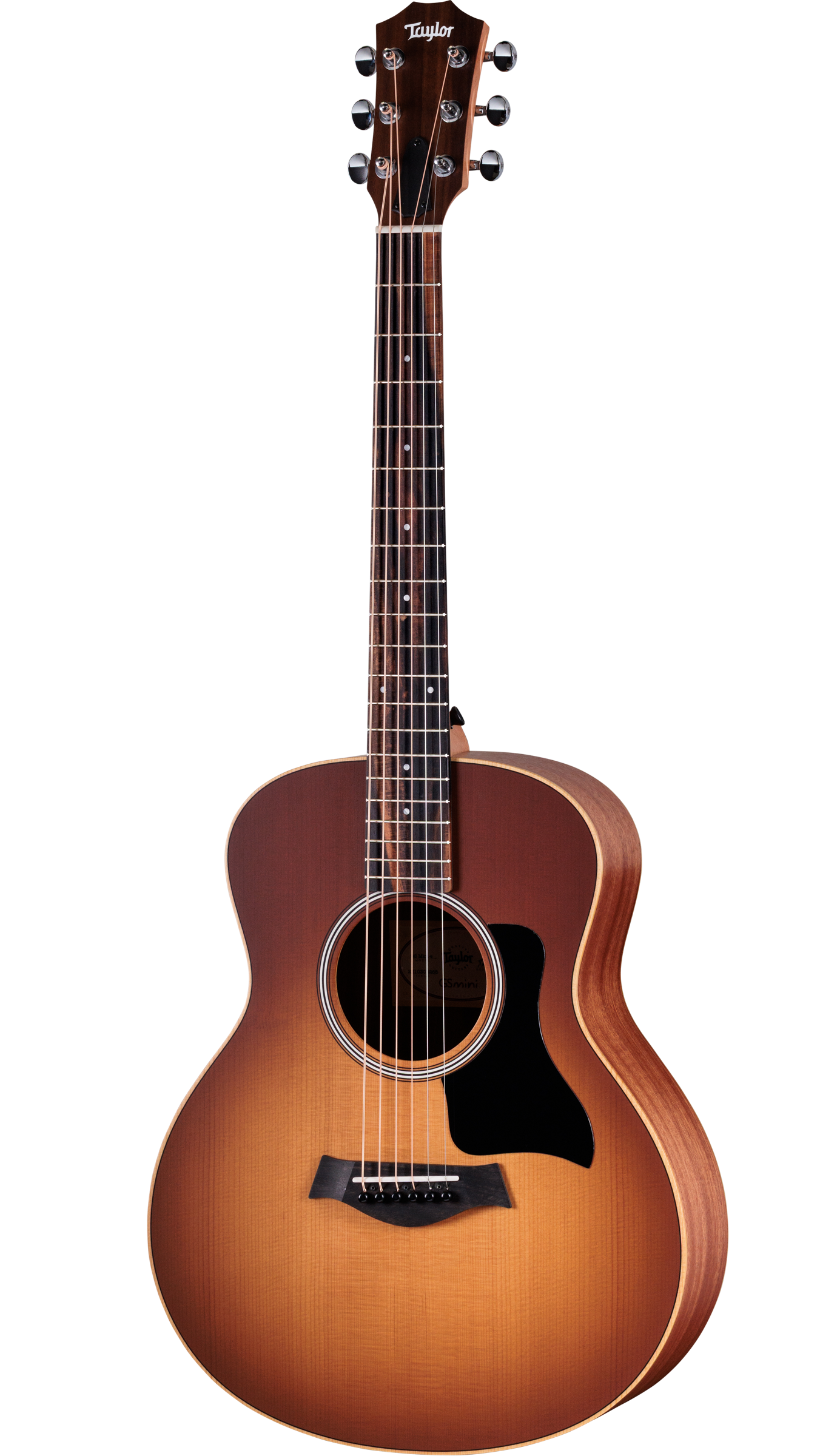 Full frontal of Taylor GS Mini-e Special Edition Honeyburst.