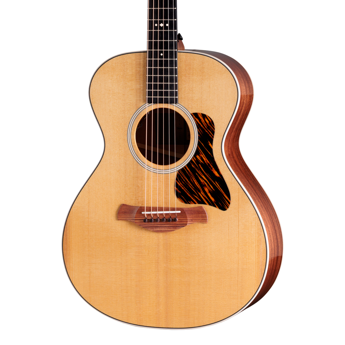 Front of Taylor Gold Label 512e Natural.