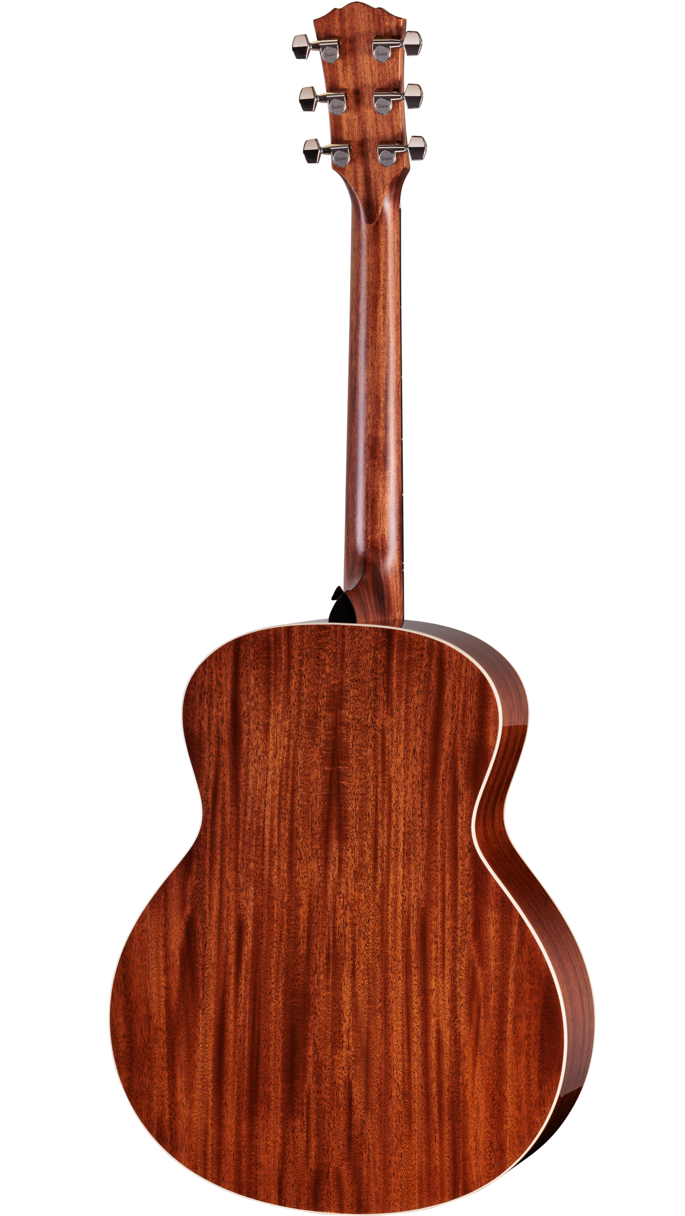 Back of Taylor Gold Label 514e Natural.