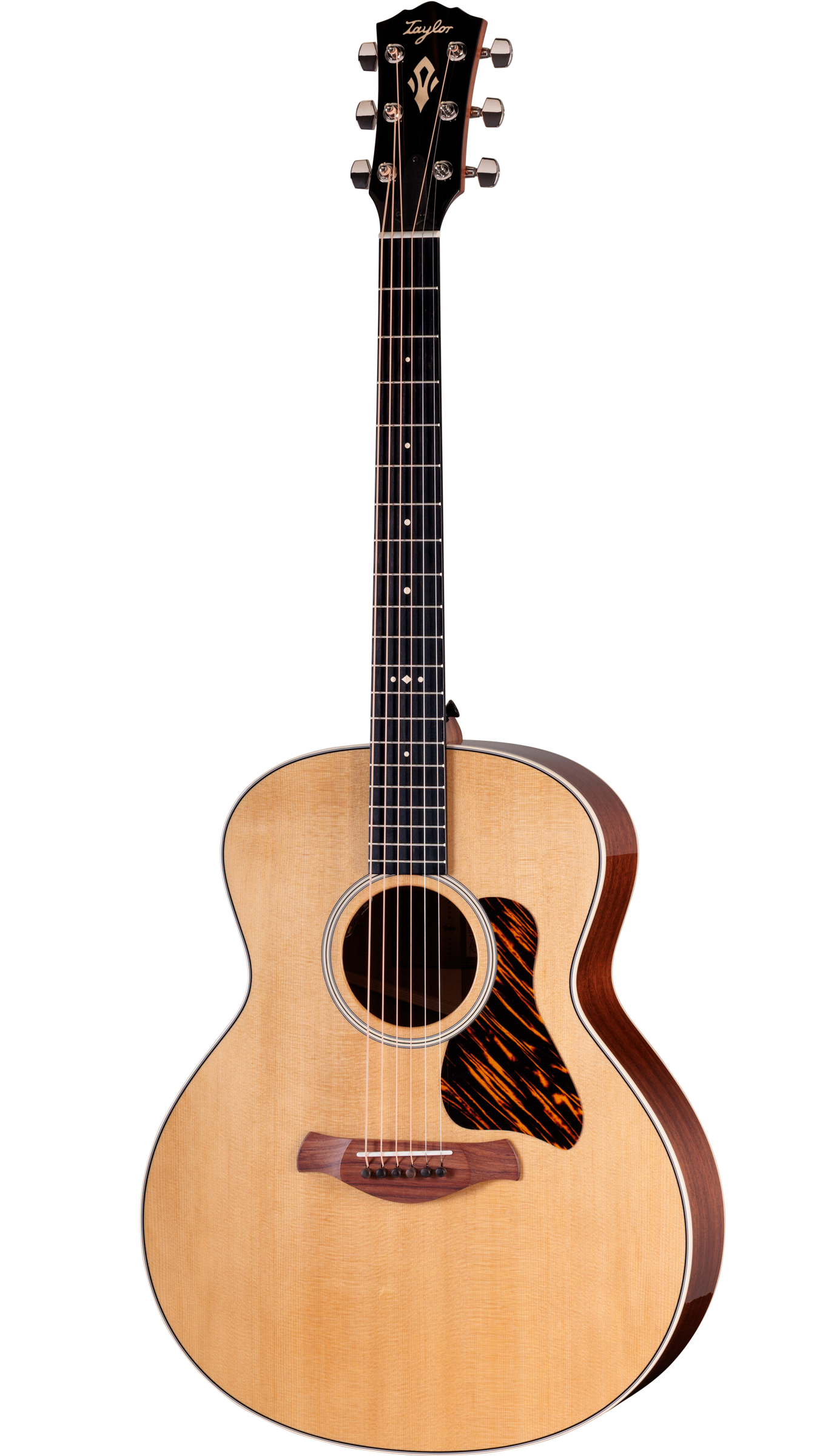 Full frontal of Taylor Gold Label 514e Natural.