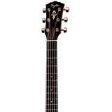 Headstock of Taylor Gold Label 714e Sunburst Firestripe Pickguard.