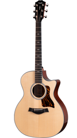 Full frontal of Taylor Next Generation 314ce Natural.