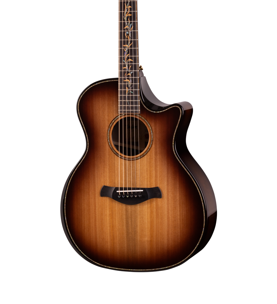 Front of Taylor Next Generation Builder's Edition 914ce LTD Sinker Cypress Walnut.