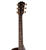 Headstock of Taylor Next Generation Builder's Edition 914ce LTD Sinker Cypress Walnut.