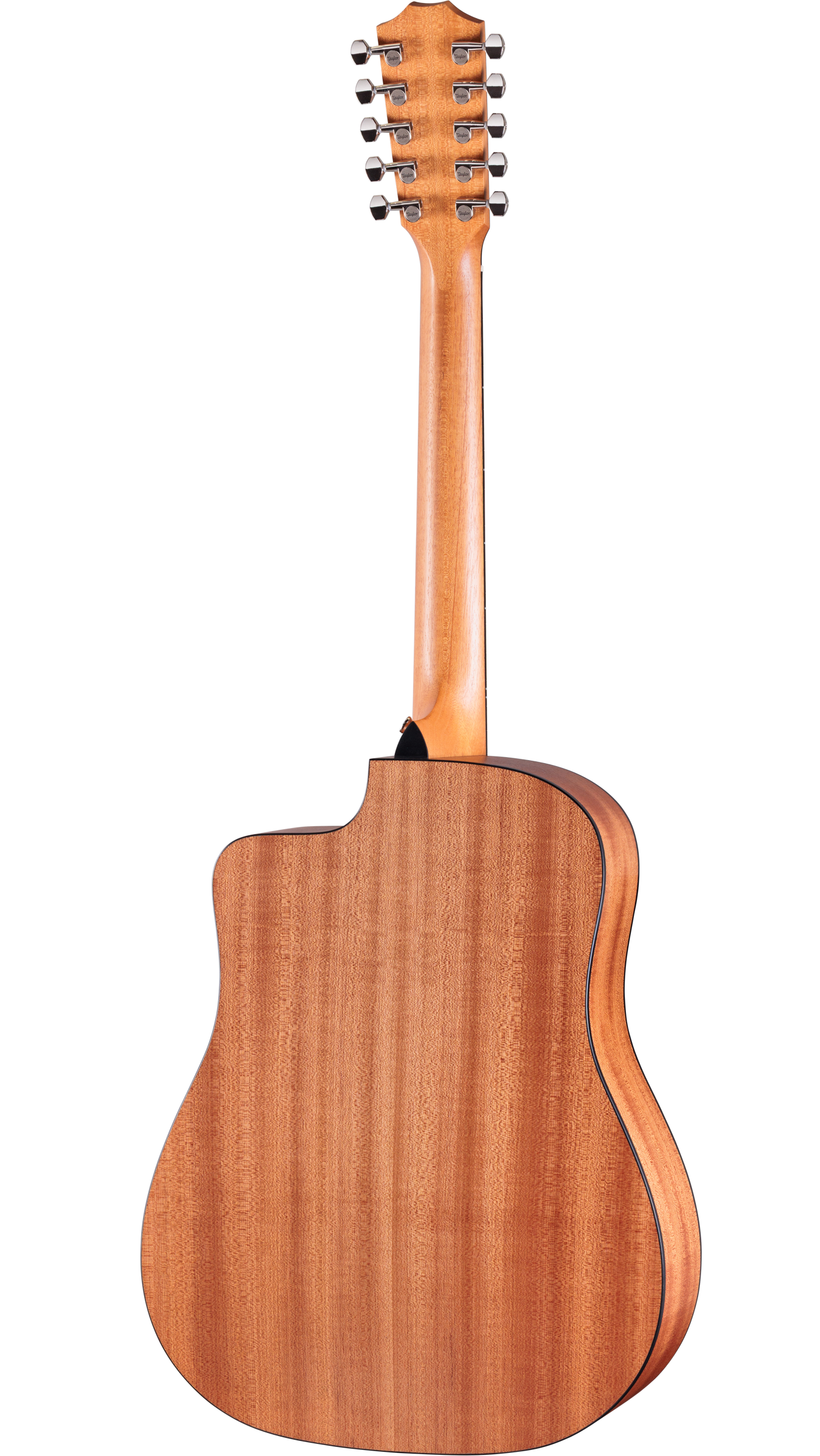 Back of Taylor Somos 150ce Bajo Quinto 10-string.