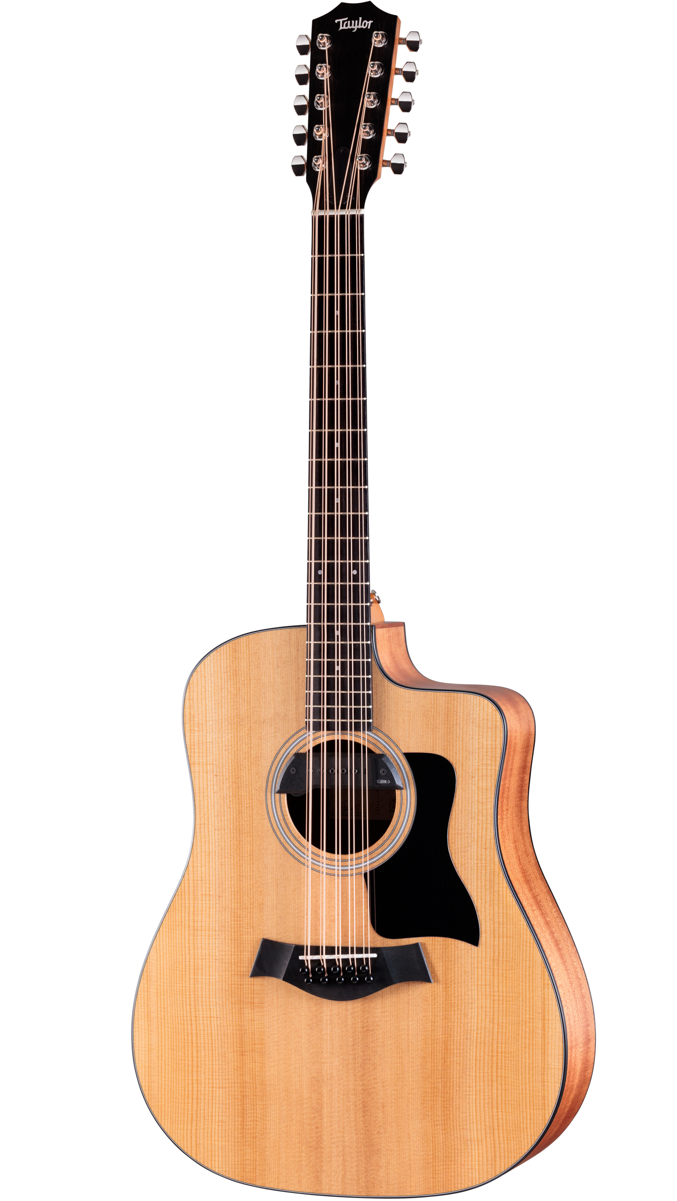 Full frontal of Taylor Somos 150ce Bajo Quinto 10-string.