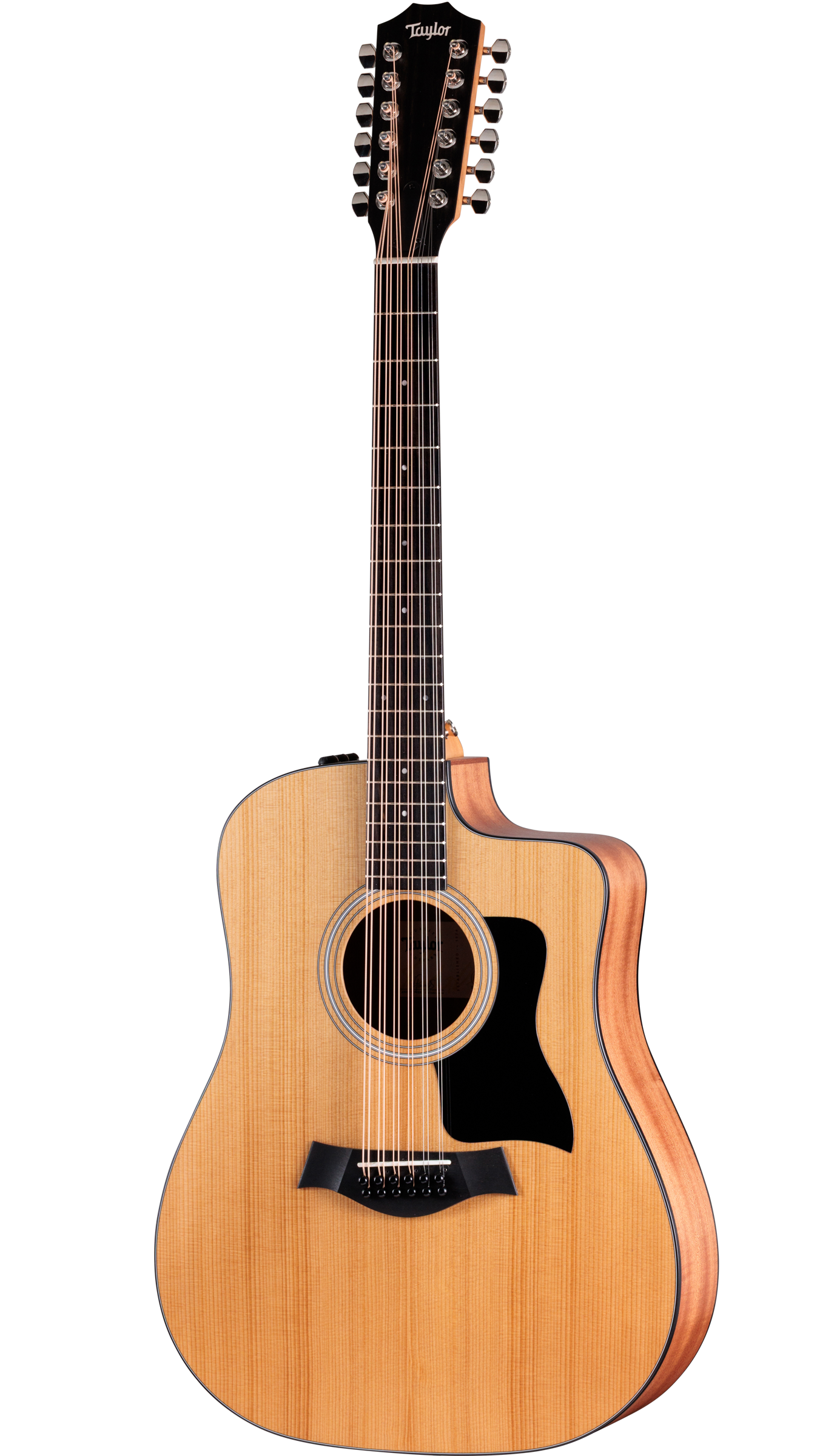 Full frontal of Taylor Somos 150ce Doce Doble 12-string.