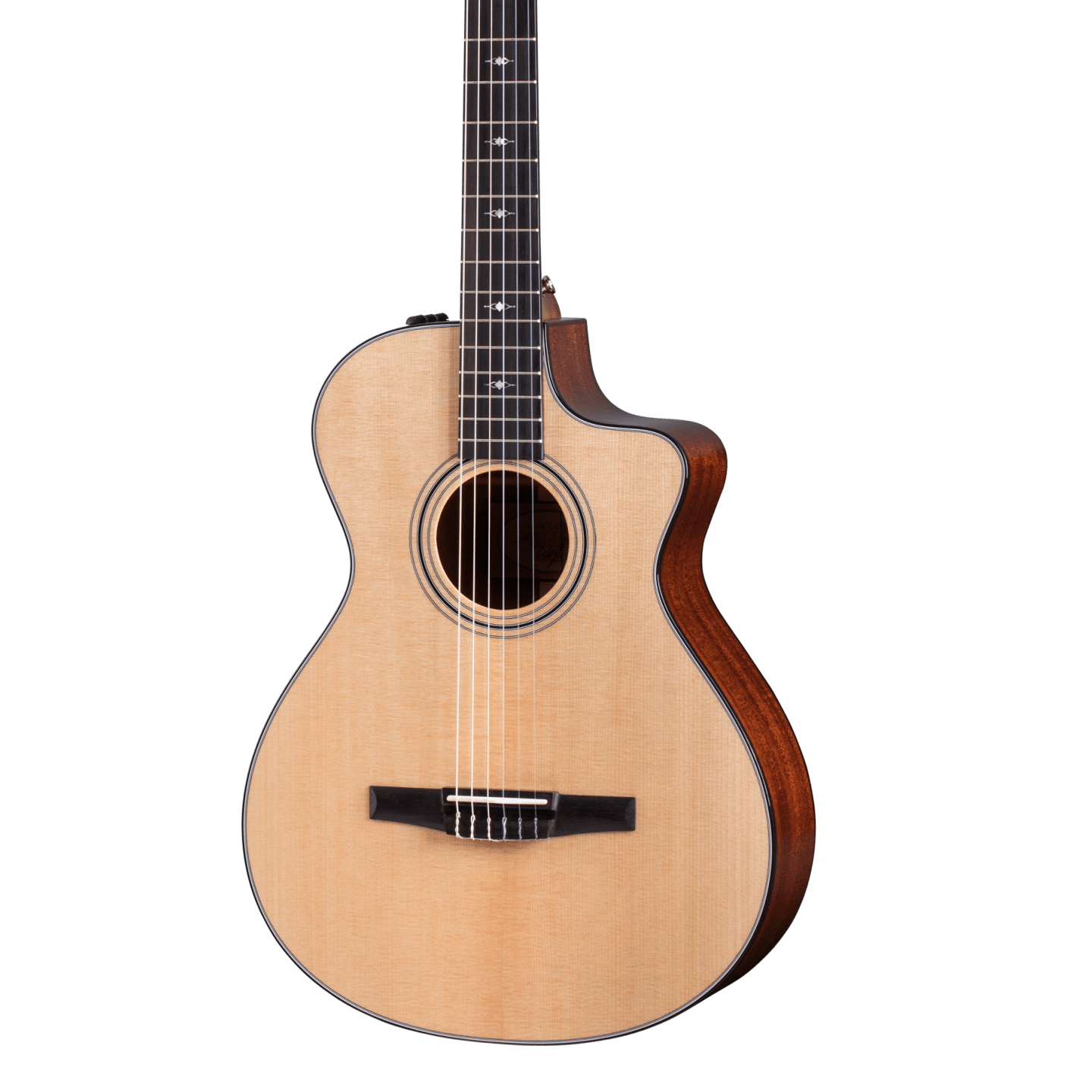 Front of Taylor 312ce-N.