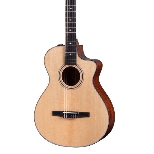 Front of Taylor 312ce-N.