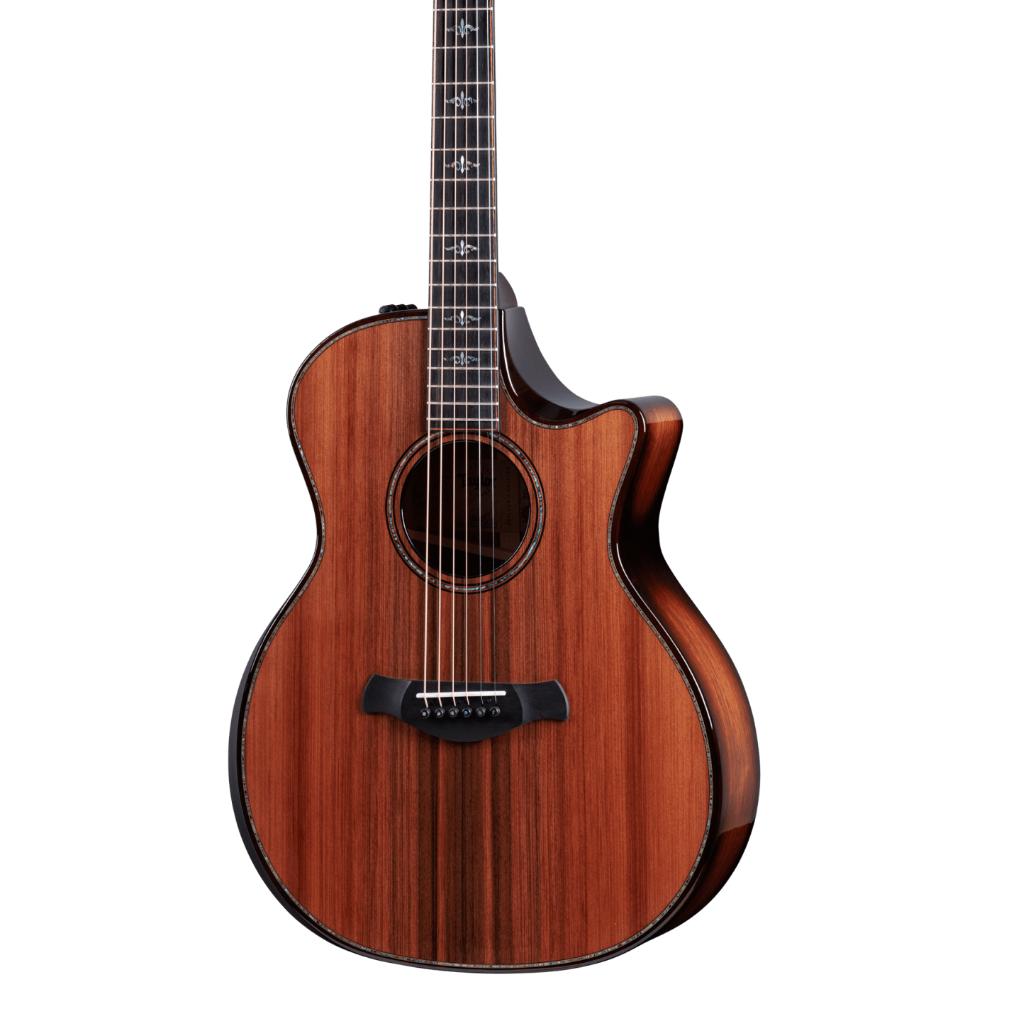 Front of Taylor 914ce Builders Edition Honduran.