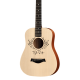 Front of Taylor TS-BTe.