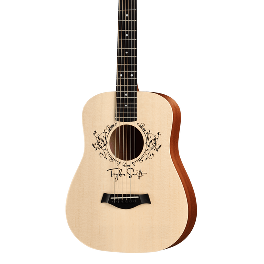 Front of Taylor TS-BTe.