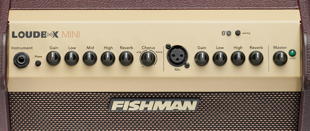 Close up of Fishman PRO-LBT-500 Loudbox Mini interface.